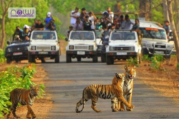 Sariska